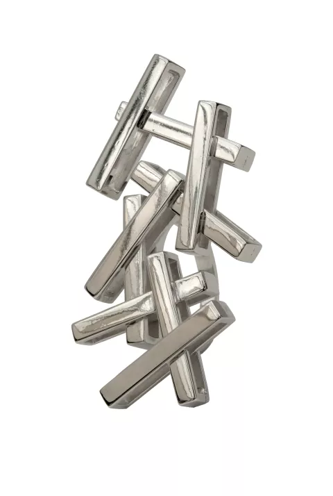 Ruyant-BagueADN-argent