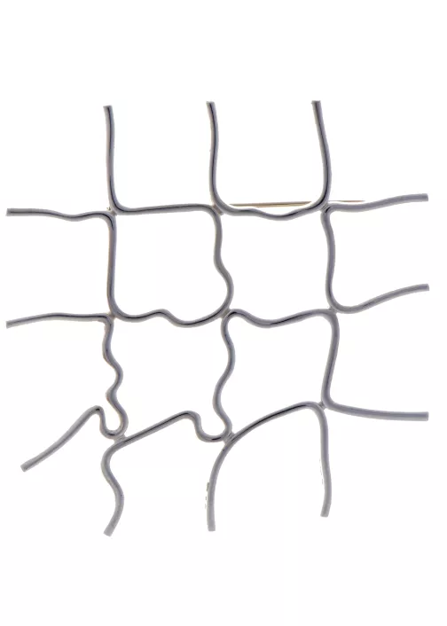 Morellet.D'apresReflexion