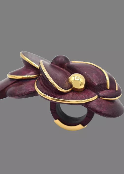 Vari-Bague-Zervodexos-FondGris