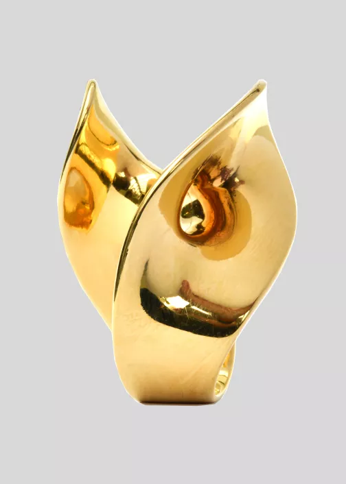 Ghion-Bague-InsideOut-doreeHD-fondgris