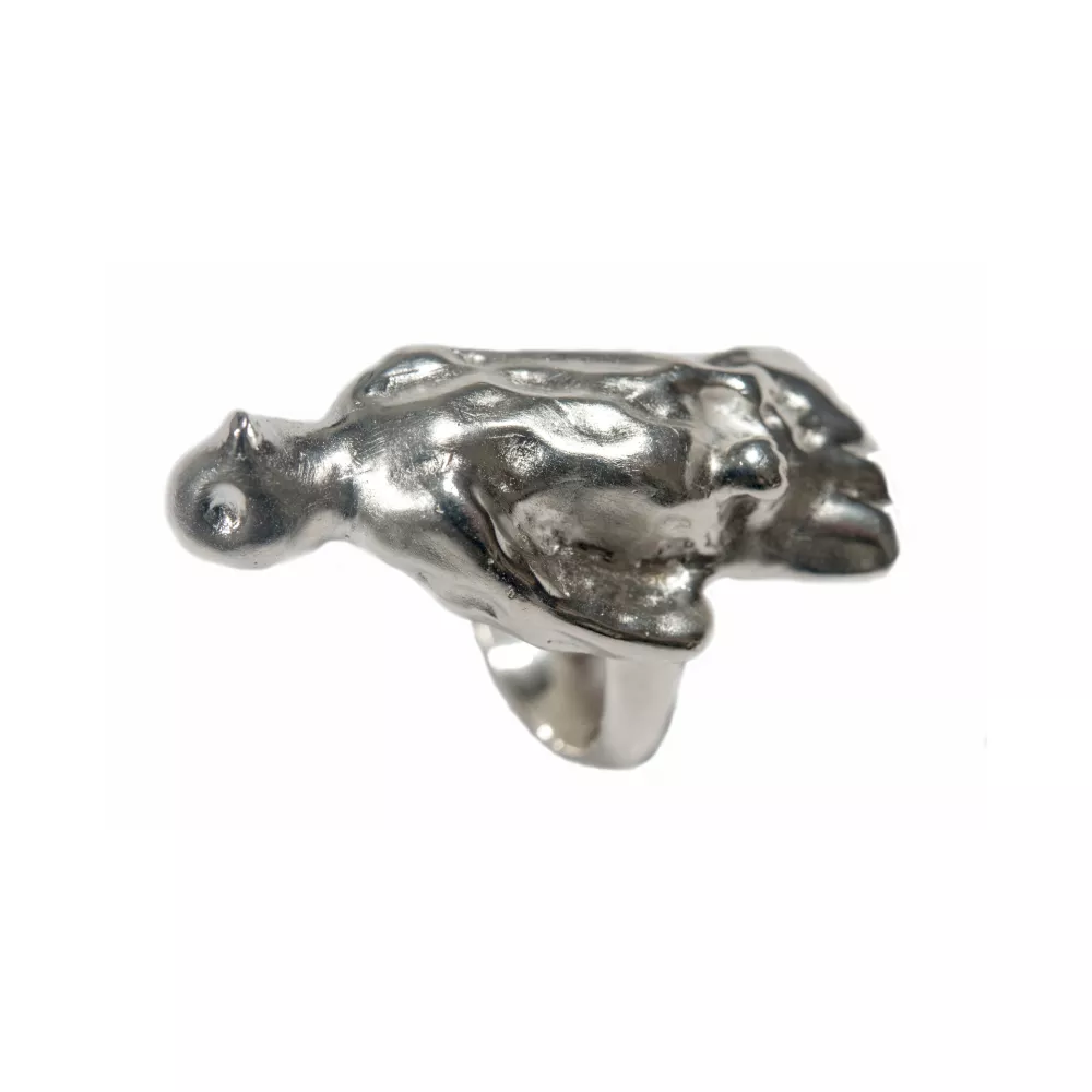 Petrovitch-BagueOiseau