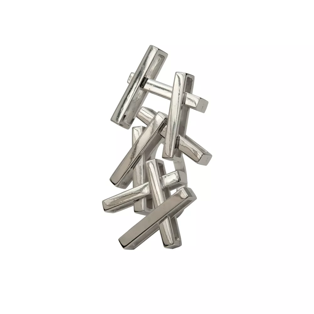 Ruyant-BagueADN-argent