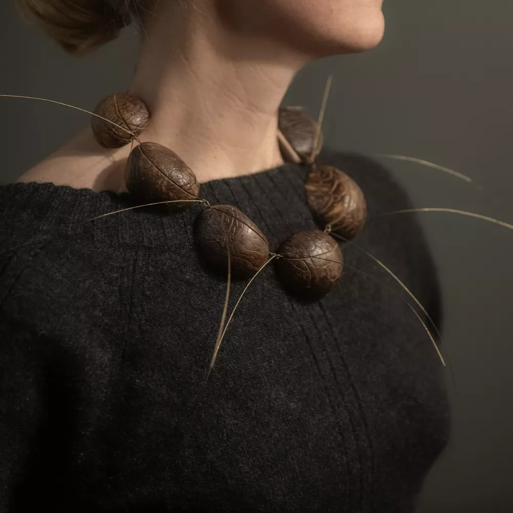 Jonemann-Collier-Corozo-ON