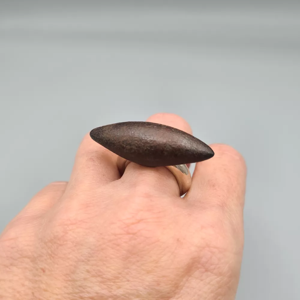 Jonemann-bagueFer-ON