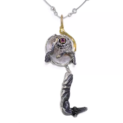 Cardinali-Collier-MEDUSO