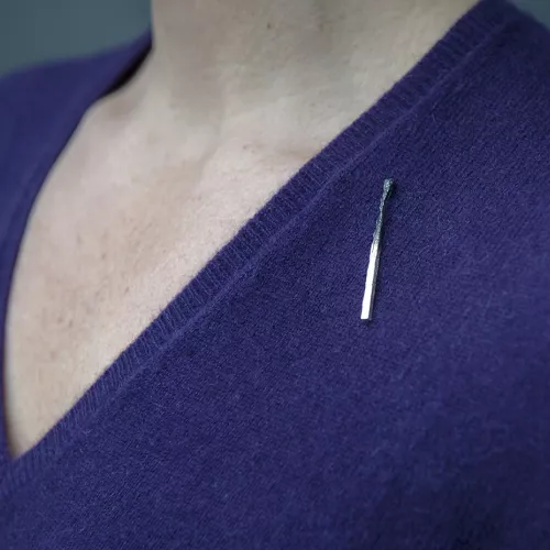 Delacour-Light-argent-ON