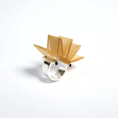 GLP-Bague-Acierdore
