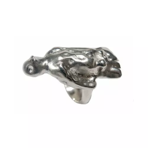 Petrovitch-BagueOiseau