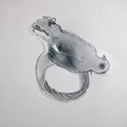 Petrovitch.Oiseau-bague-dessin