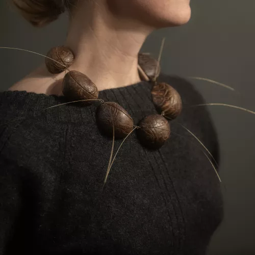 Jonemann-Collier-Corozo-ON